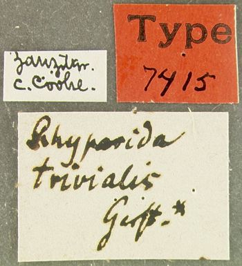 Media type: image;   Entomology 7415 Aspect: labels
